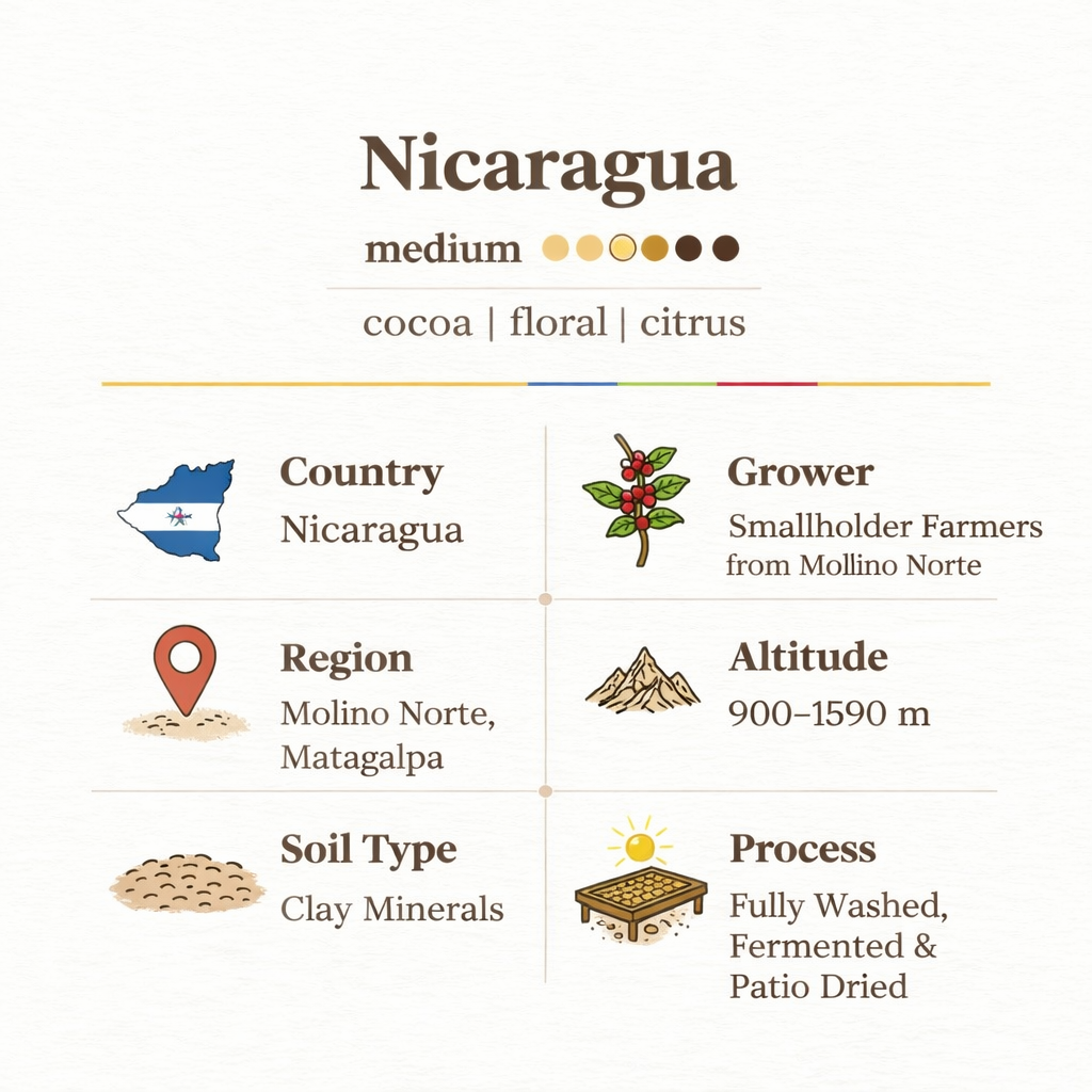 Nicaragua - Cocoa & Citrusy