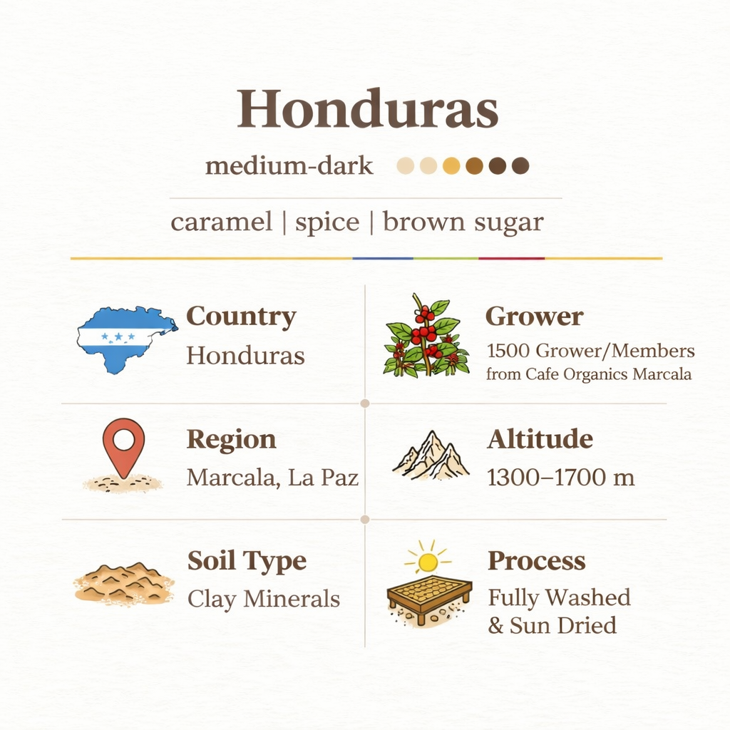 Honduras - Caramel & Brown Sugar